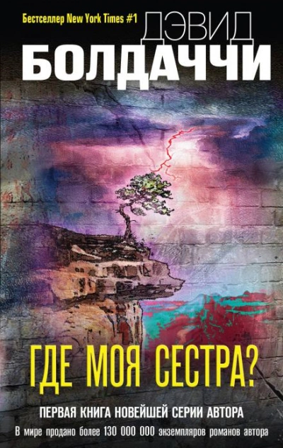 Где моя сестра? - Дэвид Балдаччи