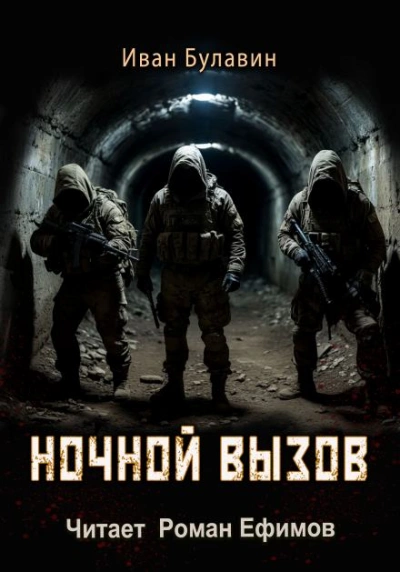 Ночной вызов - Иван Булавин