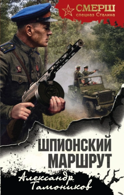 Шпионский маршрут - Александр Тамоников