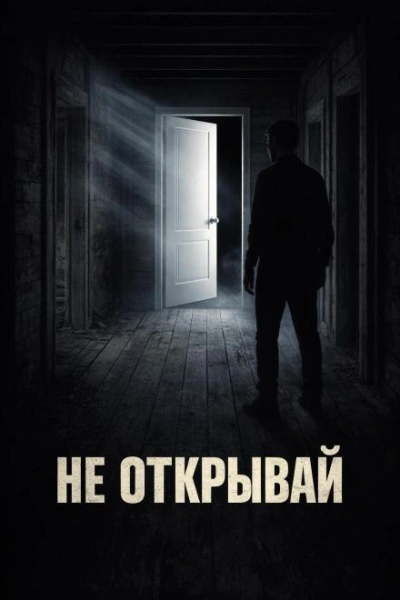 Дверь - Покинтелица Евгений