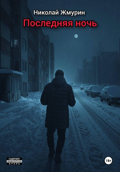 Последняя ночь - Жмурин Николай